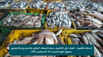 أسعار متغيرة.. تعرف على تفاصيل سعر السمك البلطي والسردين والجمبري بسوق اليوم السبت 30 أغسطس 2025